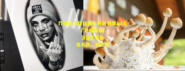 стаф Гусев