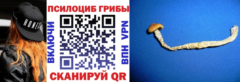 Псилоцибиновые грибы прущие грибы  Всеволожск 