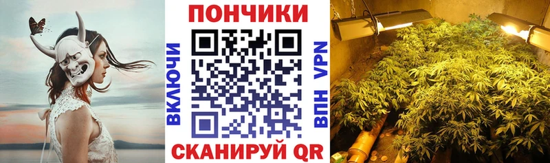Шишки марихуана OG Kush  Всеволожск 